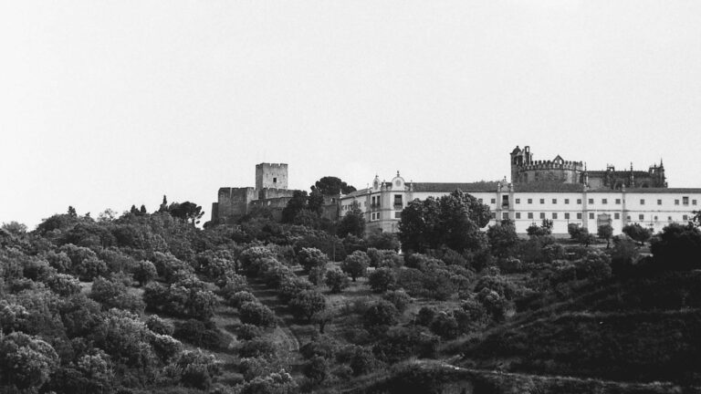 ilford100_7